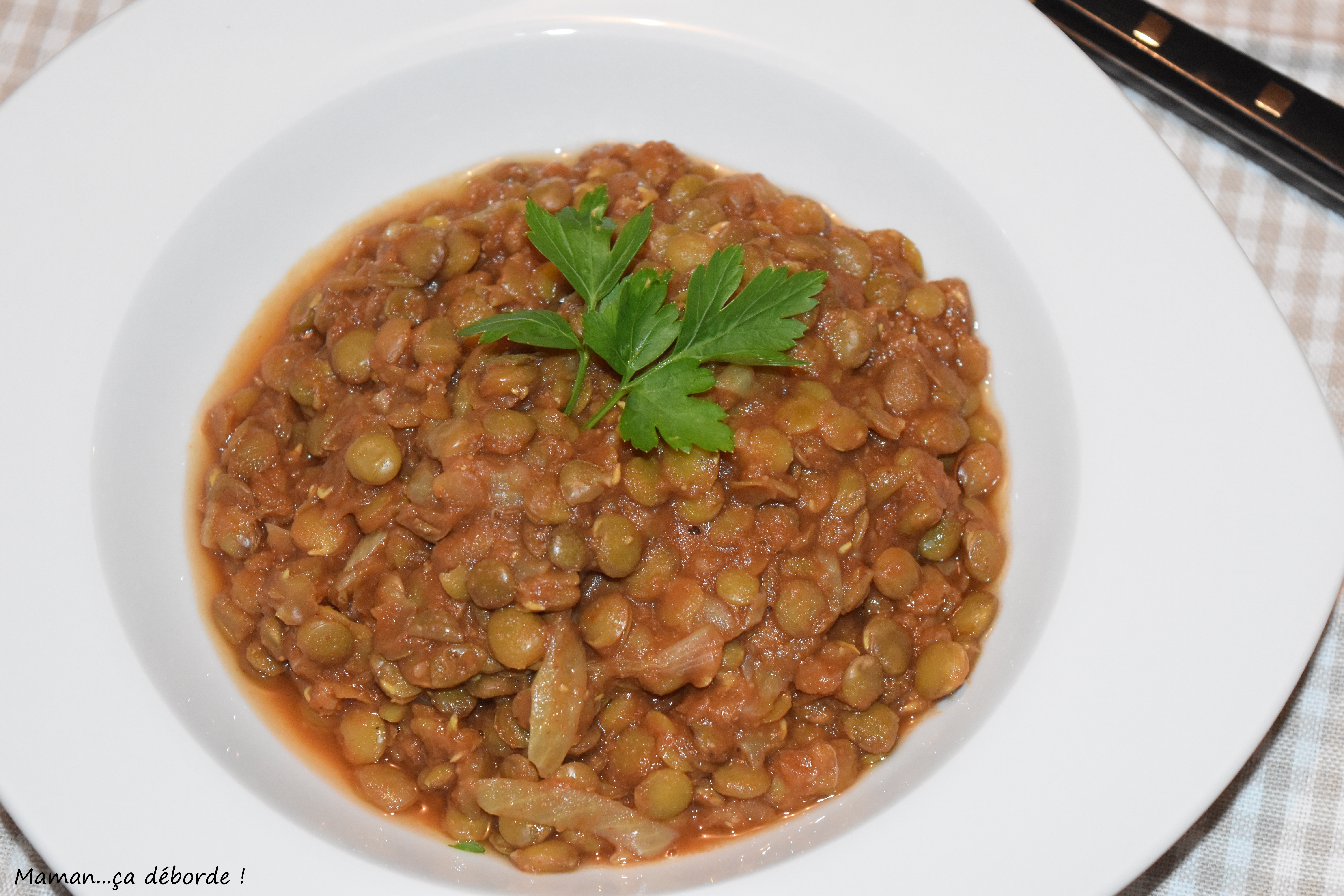 Dahl de lentilles vertes – Cuisine anti gaspi !