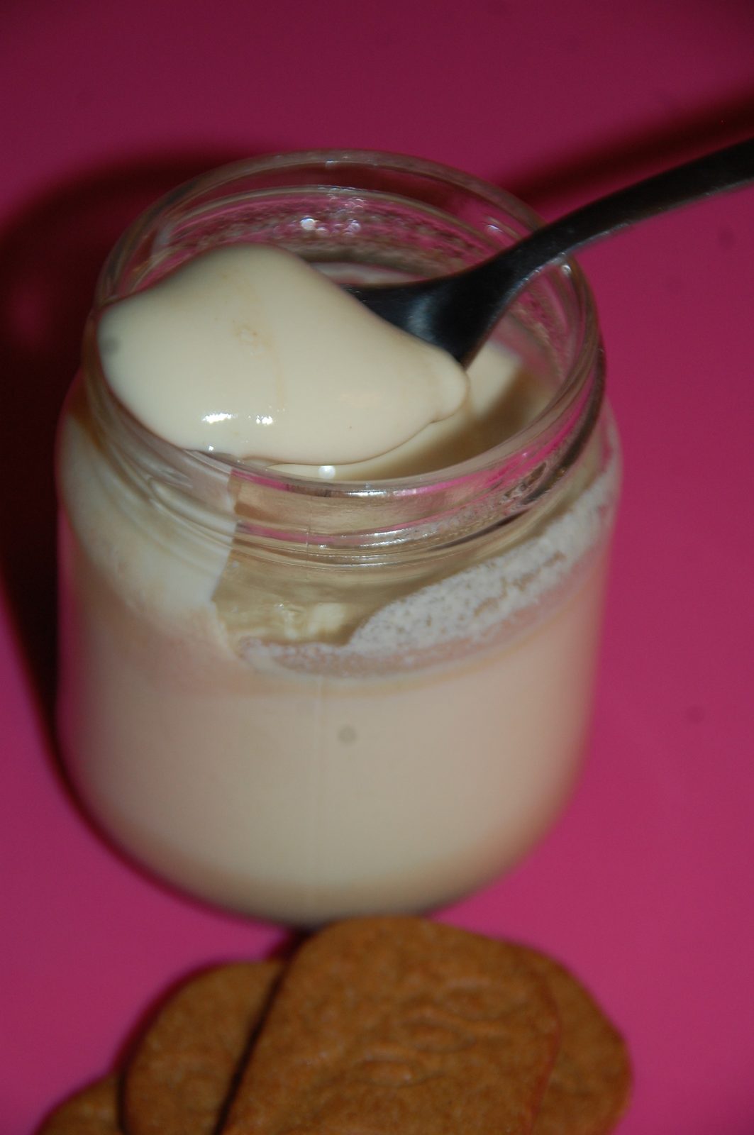 Yaourt aux spéculoos