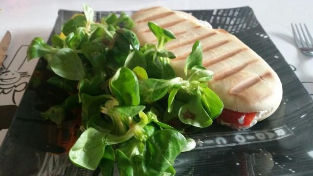 Panini