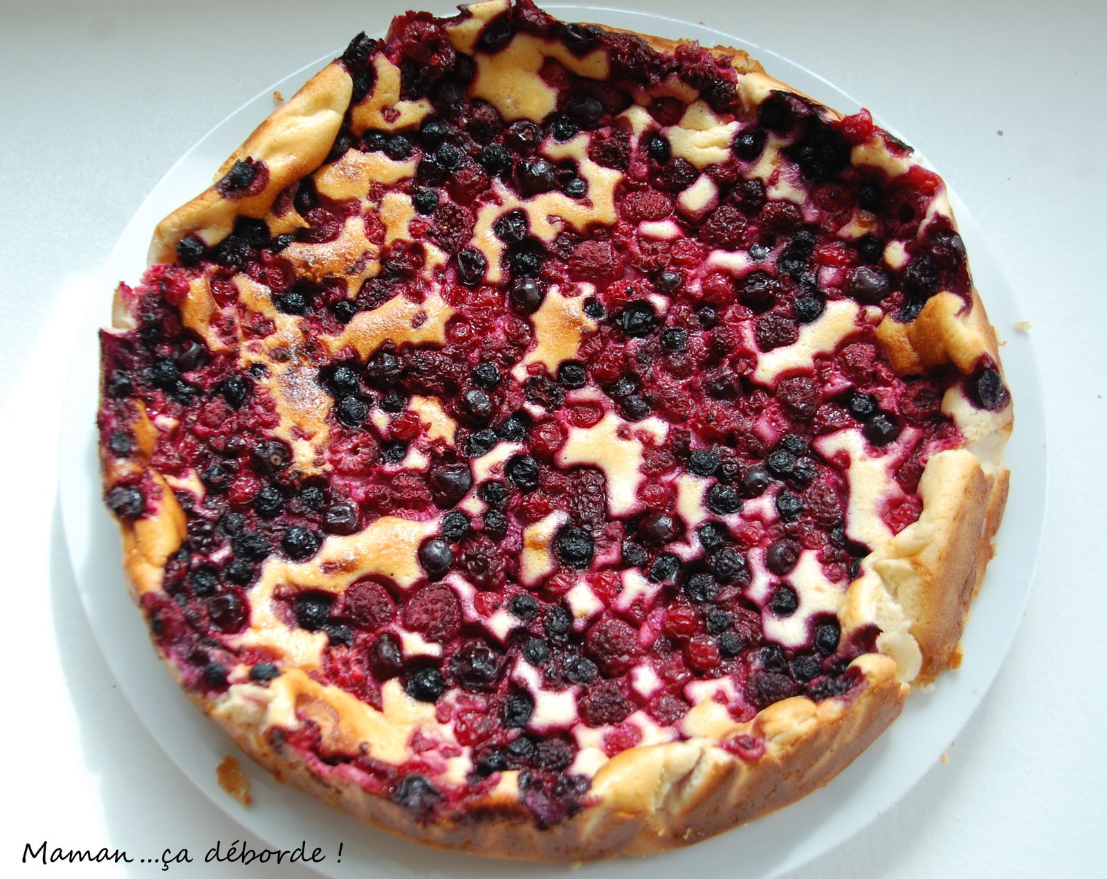Gâteau au fromage blanc et fruits rouges