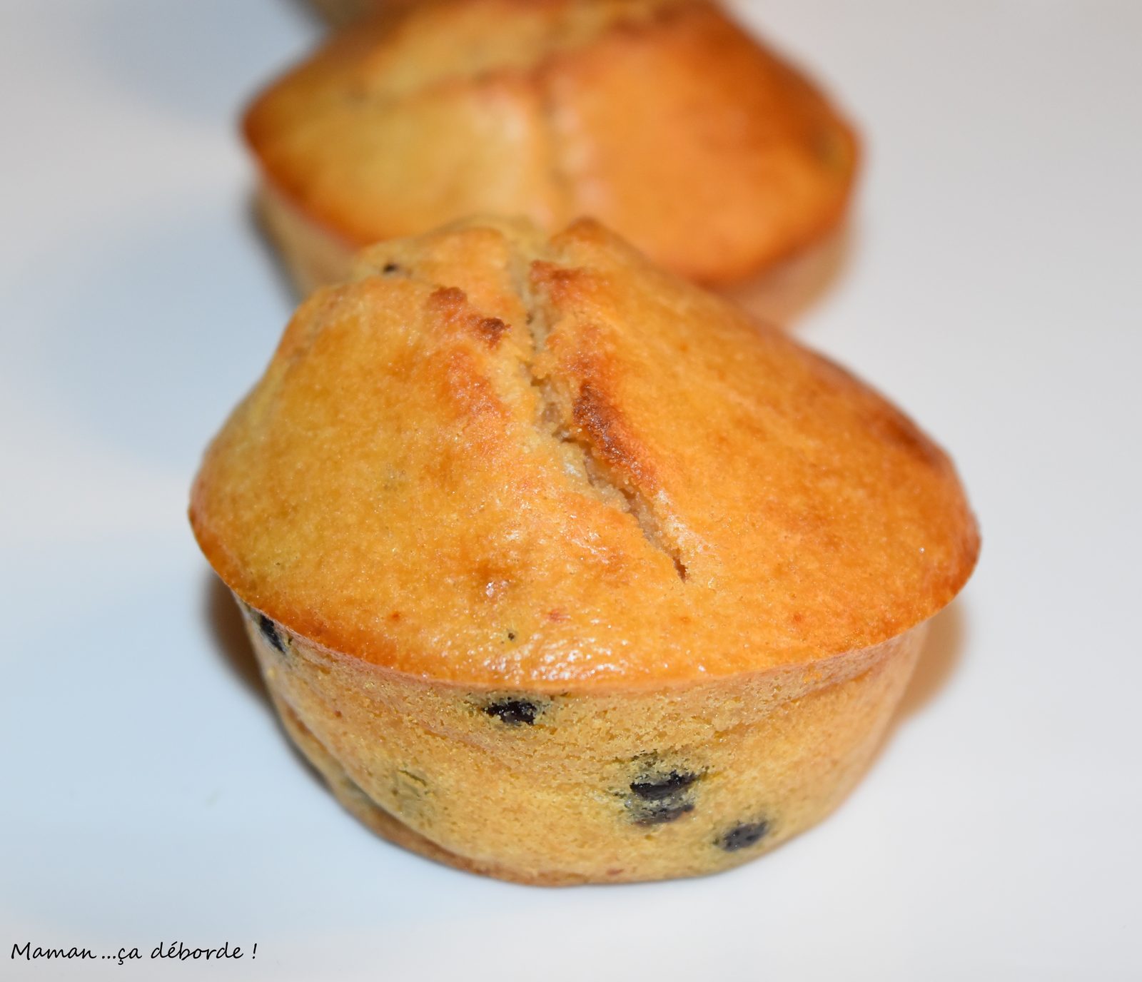 Muffins au lait concentré sucré et pépites de chocolat