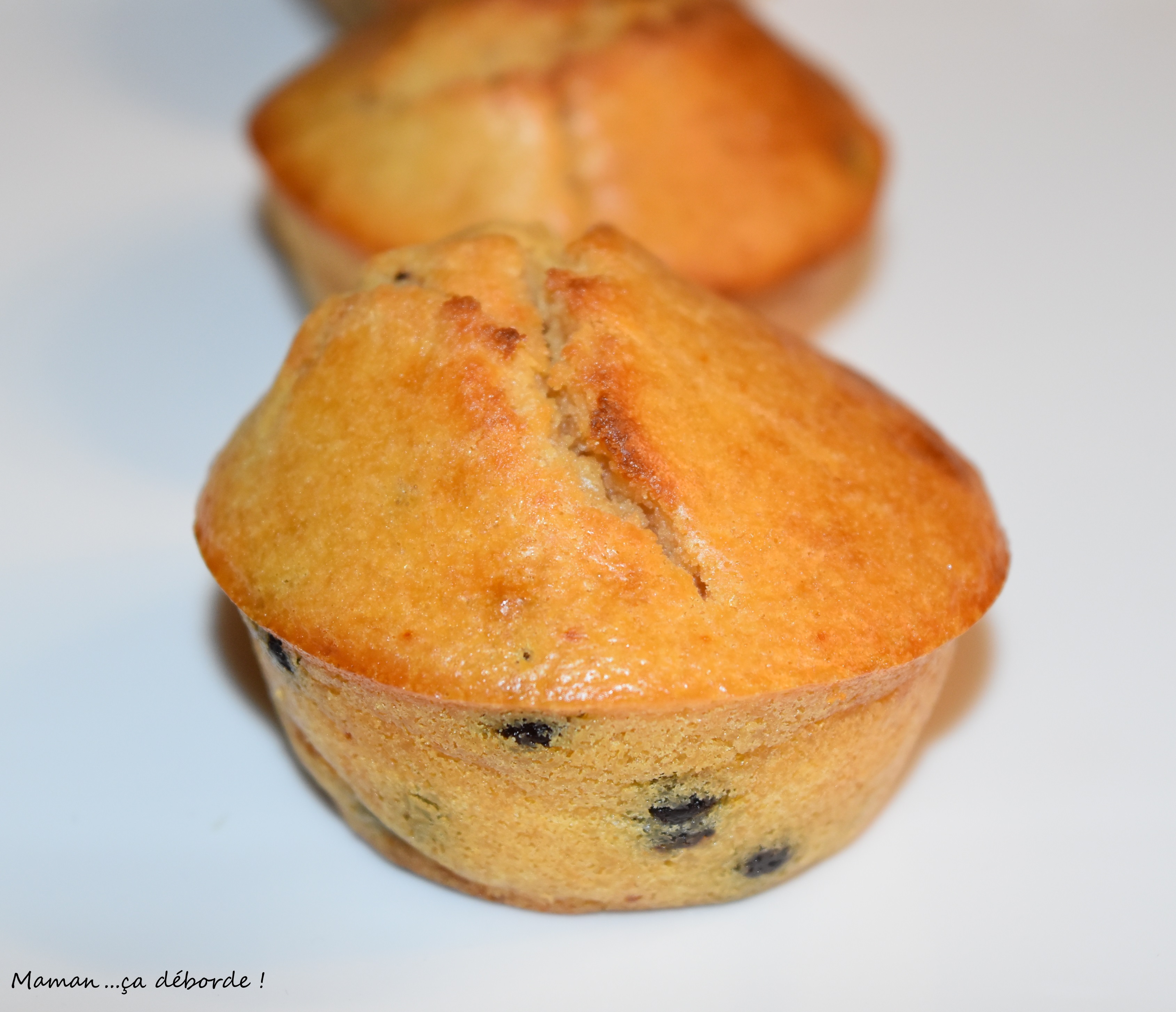 Muffins au lait concentré sucré et pépites de chocolat