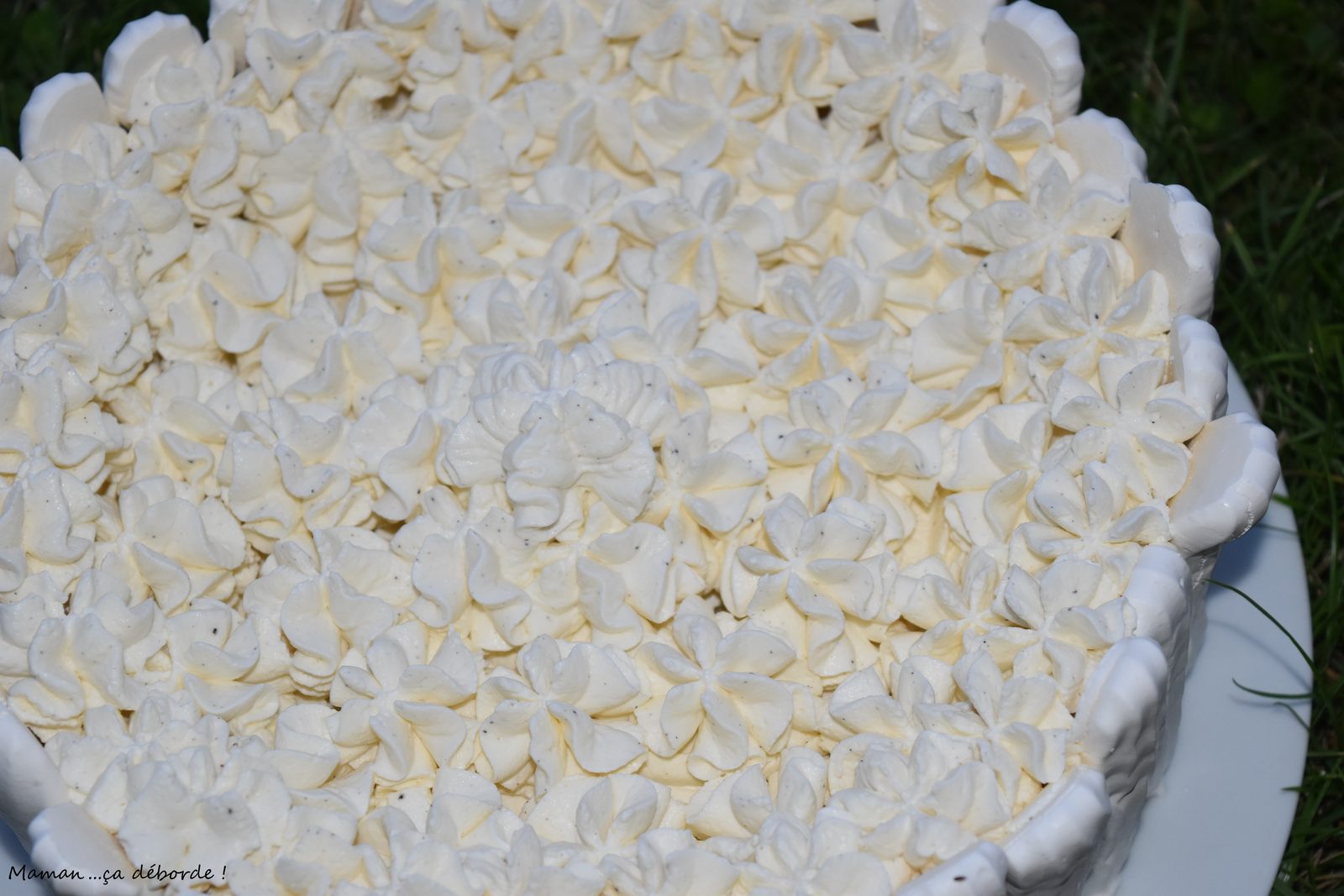 Vacherin glacé à la vanille