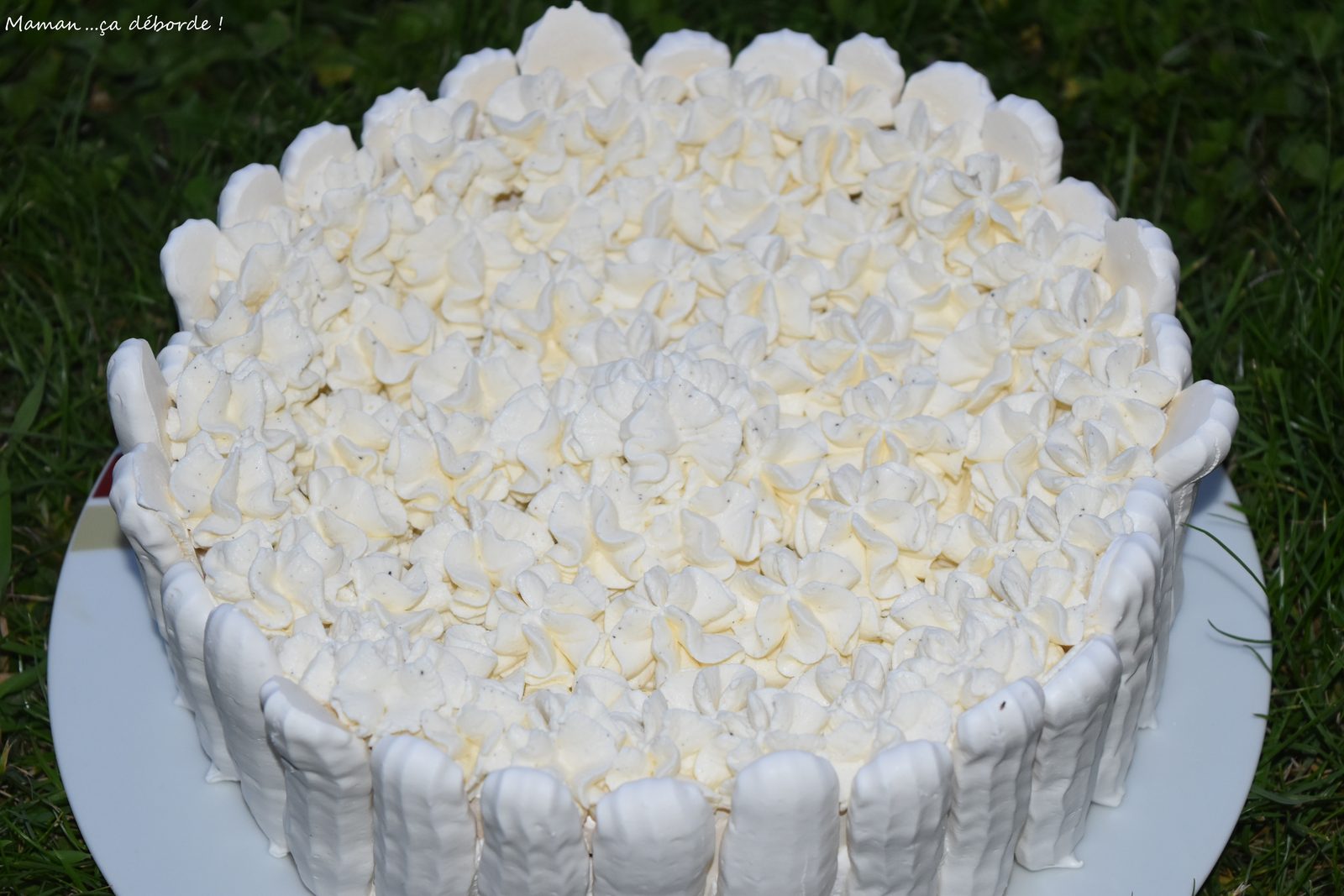 Vacherin9