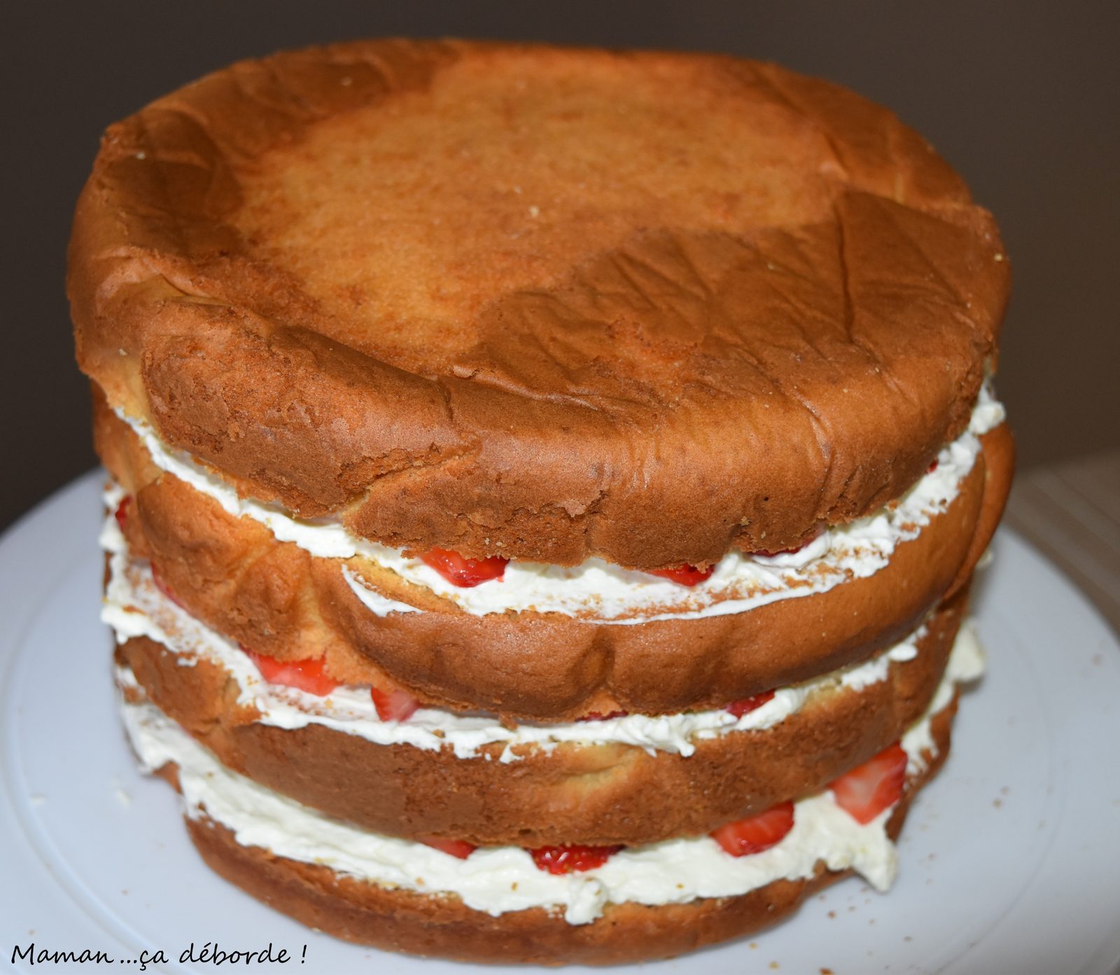 Gâteau Reine des Neiges6