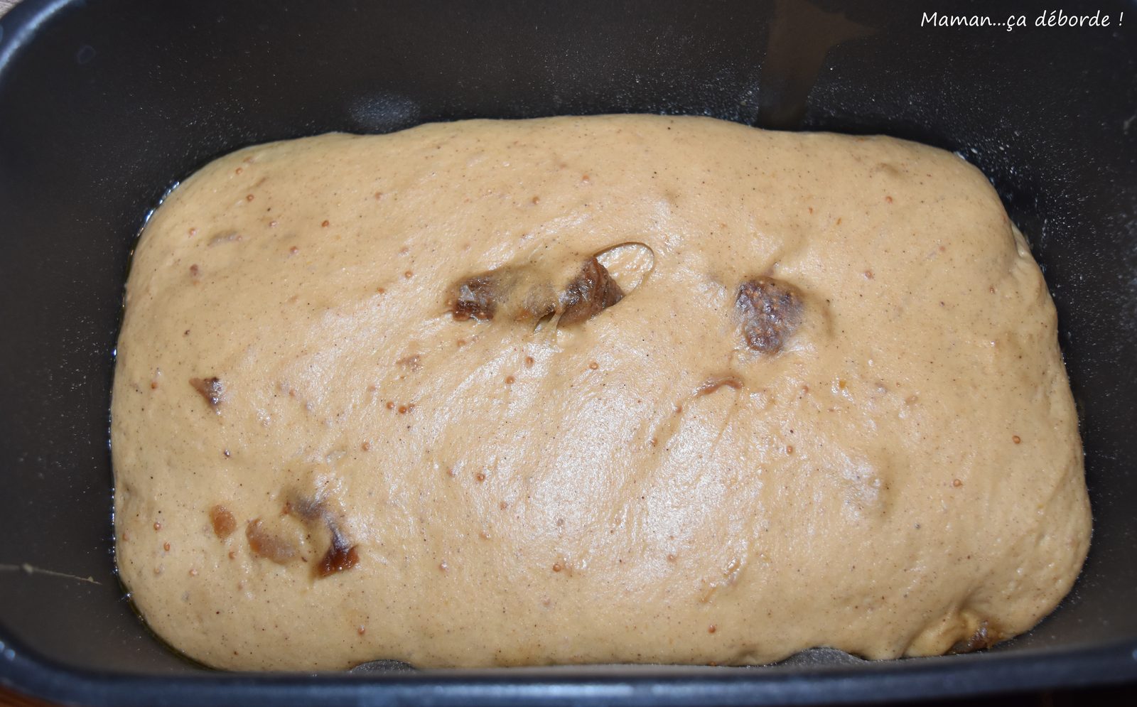 pain-brioche-a-la-chataigne-et-aux-figues
