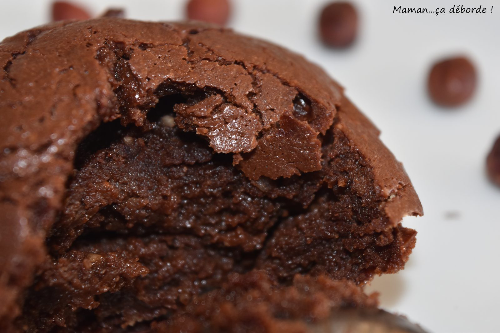 Fondant chocolat noisette sans gluten et sans lactose