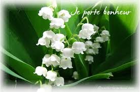 Je vous souhaite un excellent 1er Mai