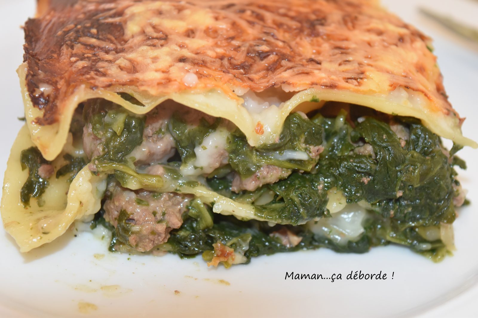 Lasagnes aux épinards et au boeuf