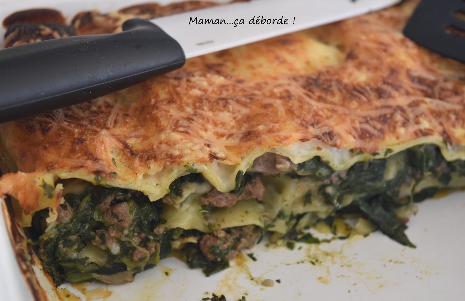 Lasagnes aux épinards et au boeuf