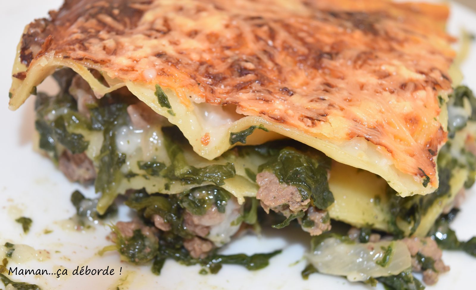 Lasagnes aux épinards et au boeuf