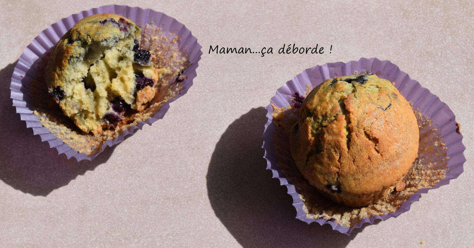 Muffins à la myrtille
