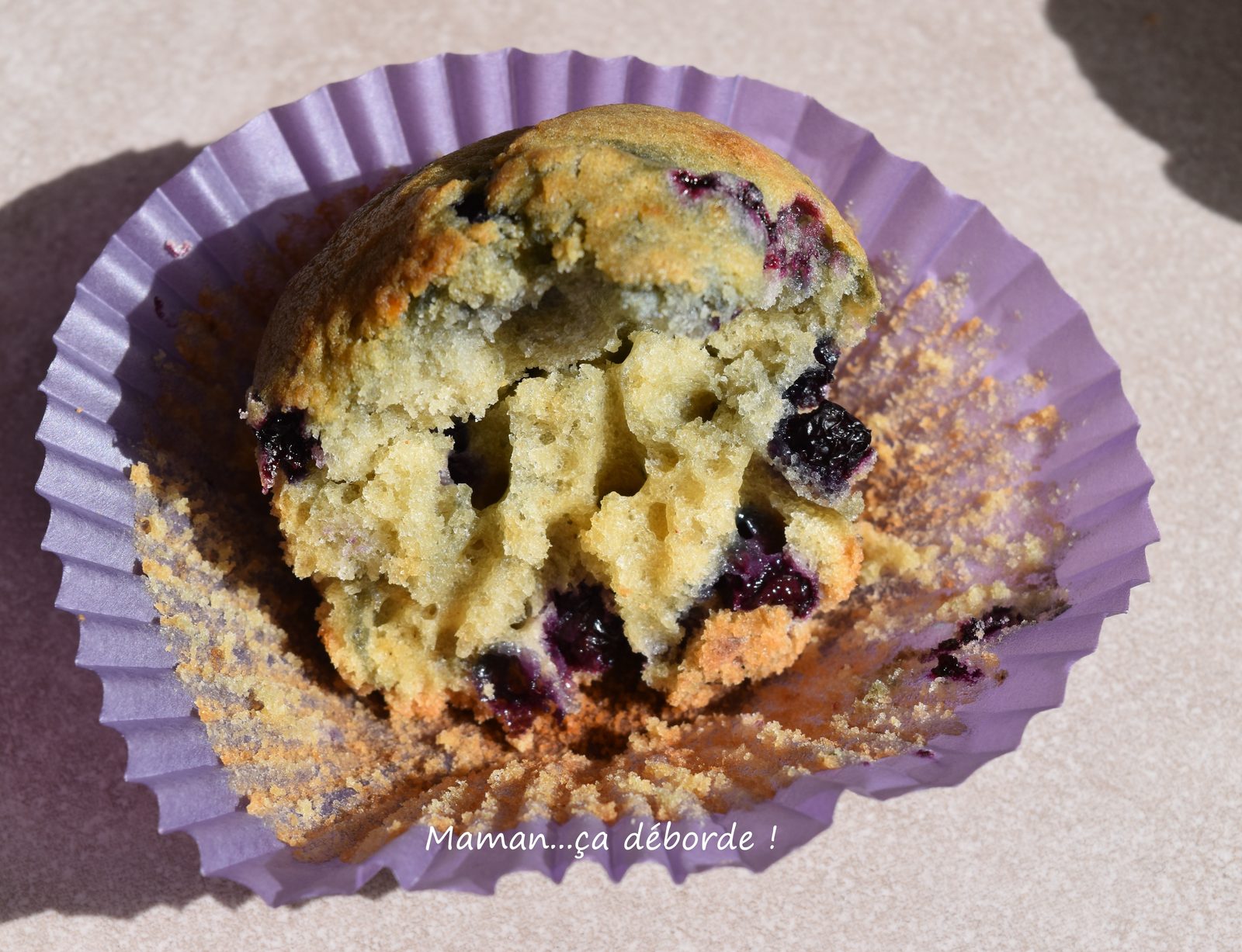 Muffins à la myrtille