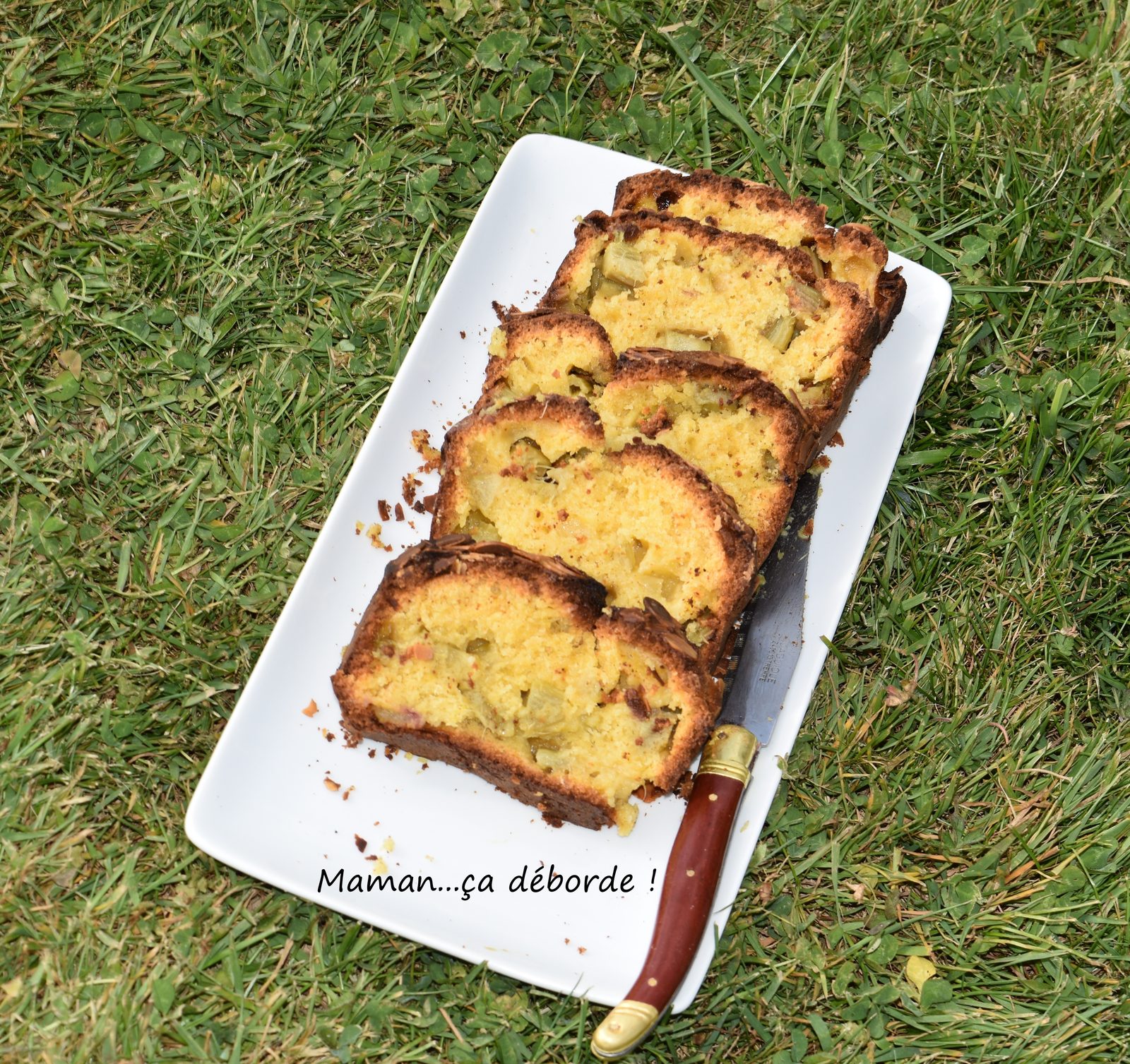 Cake moelleux à la rhubarbe