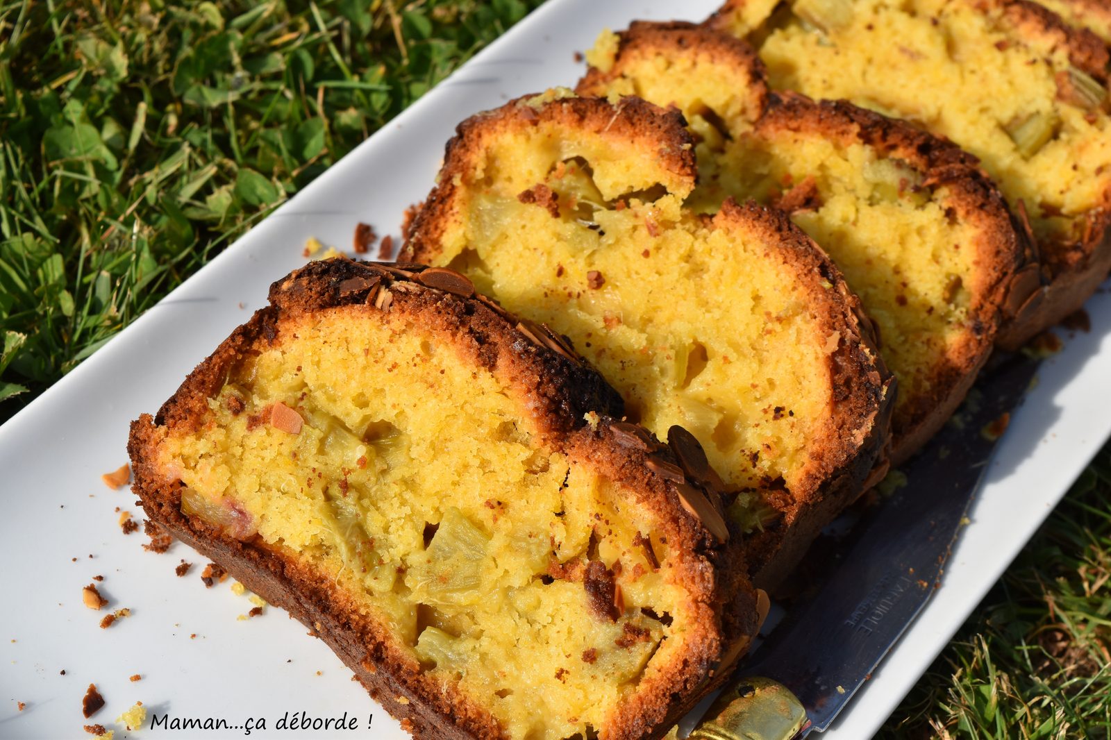 Cake moelleux à la rhubarbe