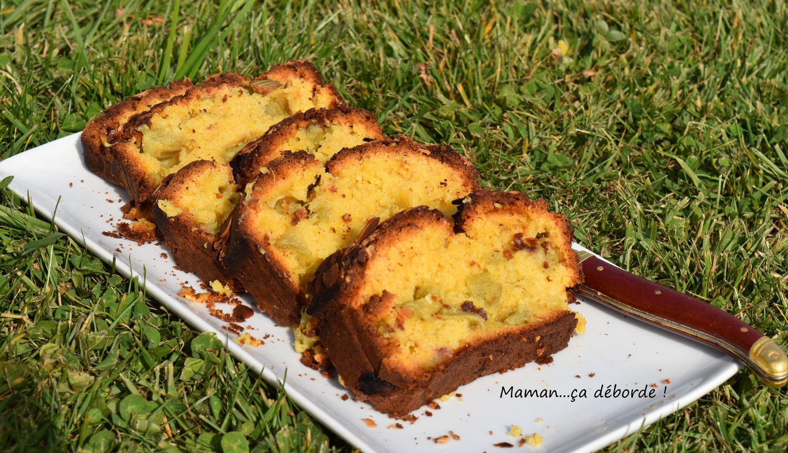 Cake moelleux à la rhubarbe