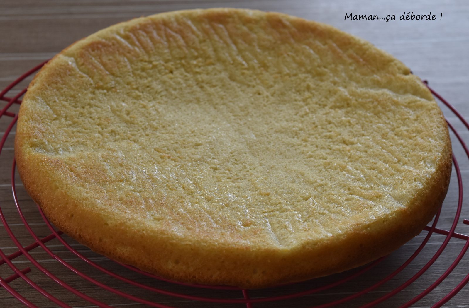 Biscuit citron huile d'olive