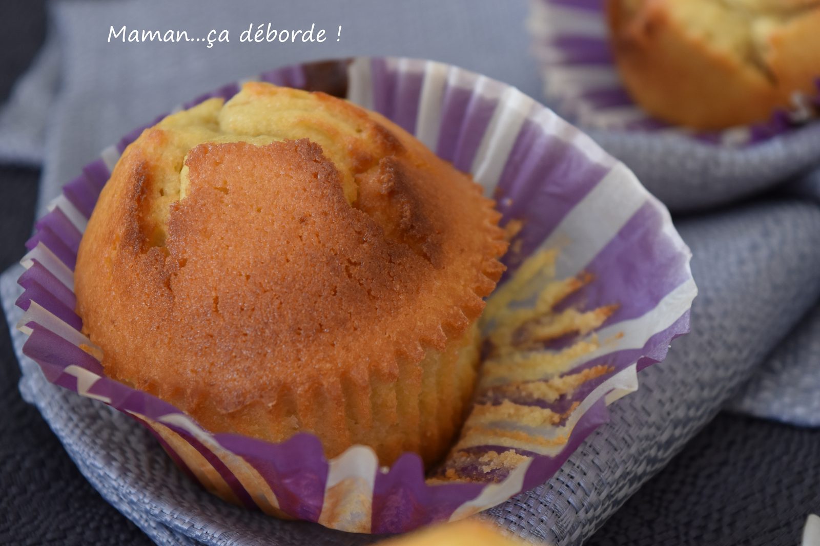 Magdalenas (madeleines espagnoles)