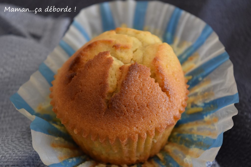 Magdalenas (madeleines espagnoles)