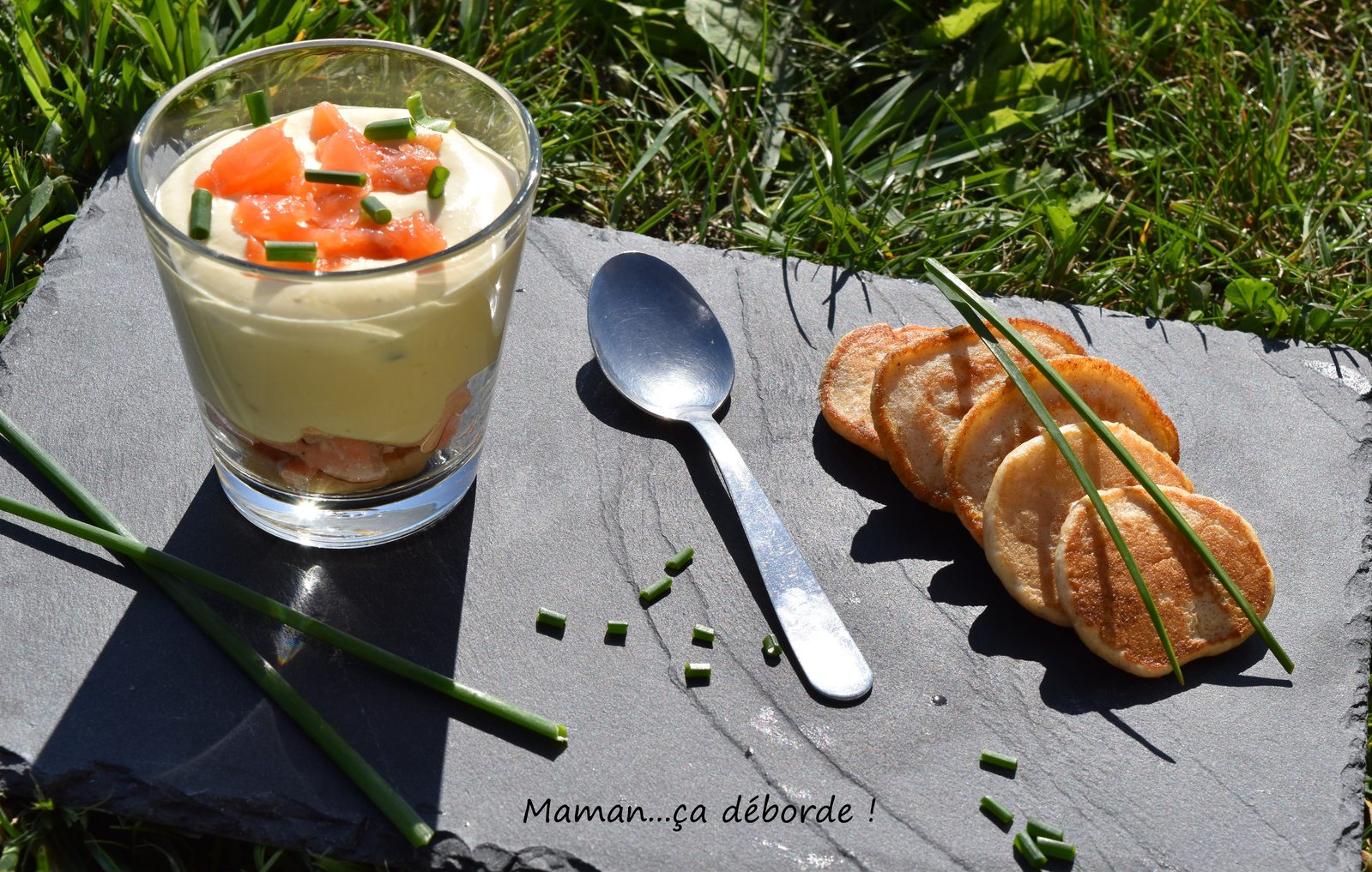 Tiramisu au saumon