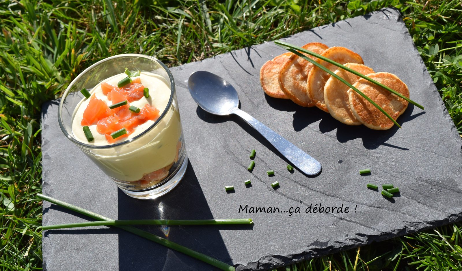 Tiramisu au saumon