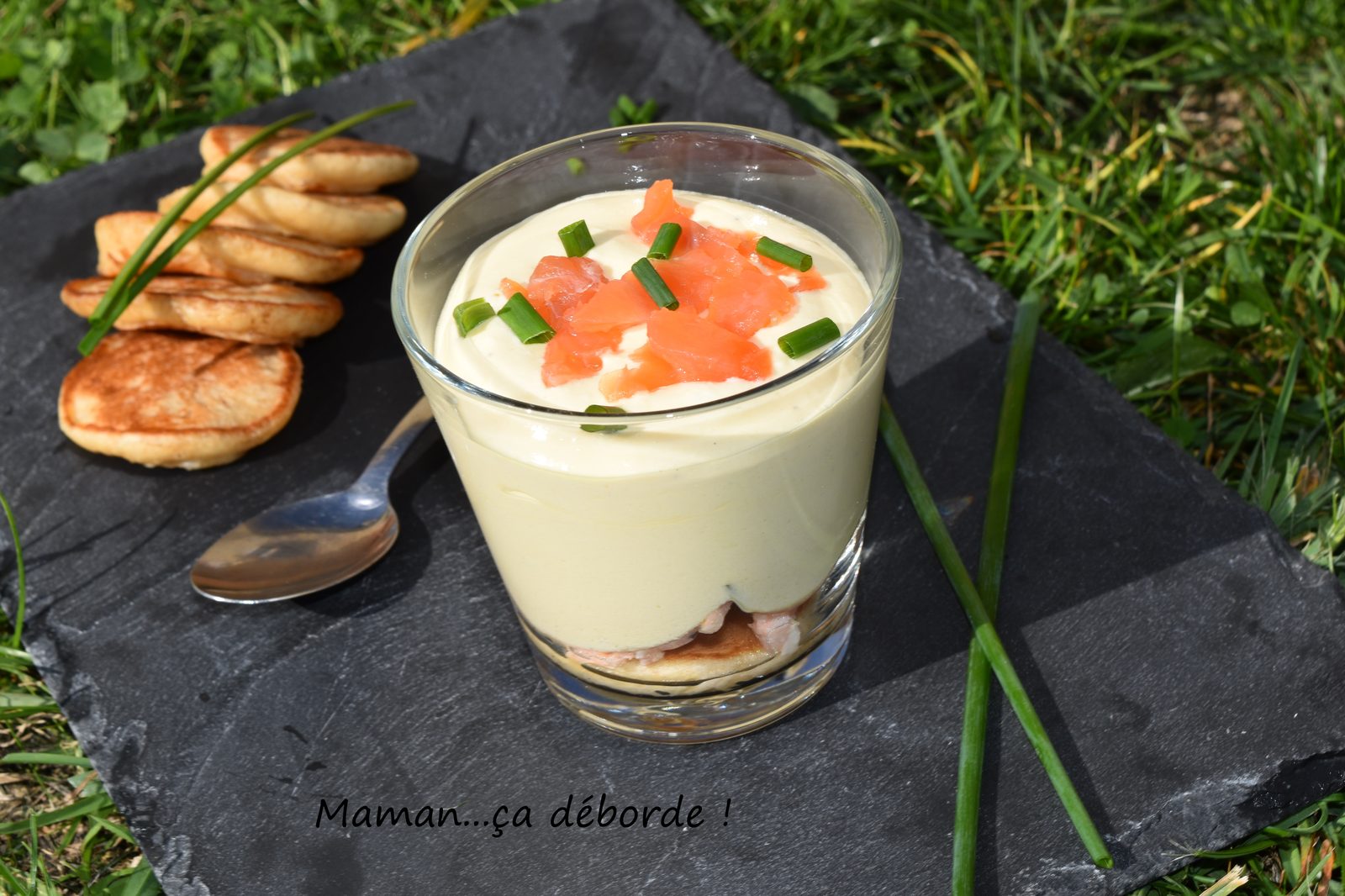 Tiramisu au saumon