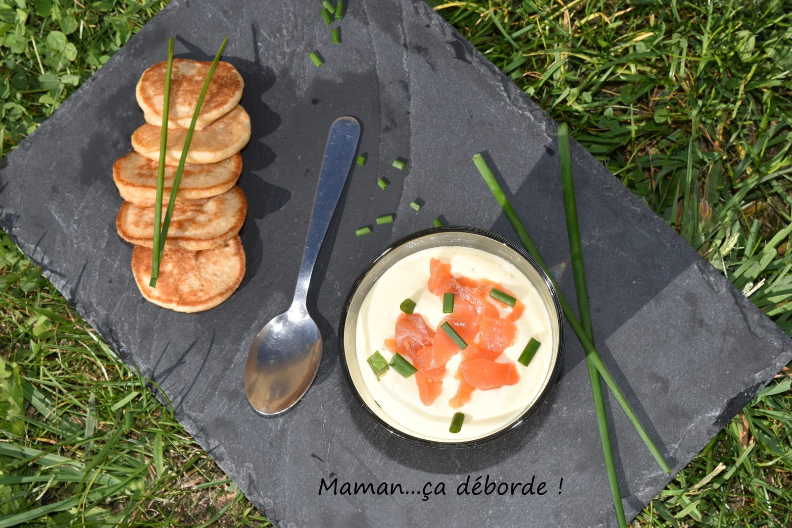 Tiramisu au saumon
