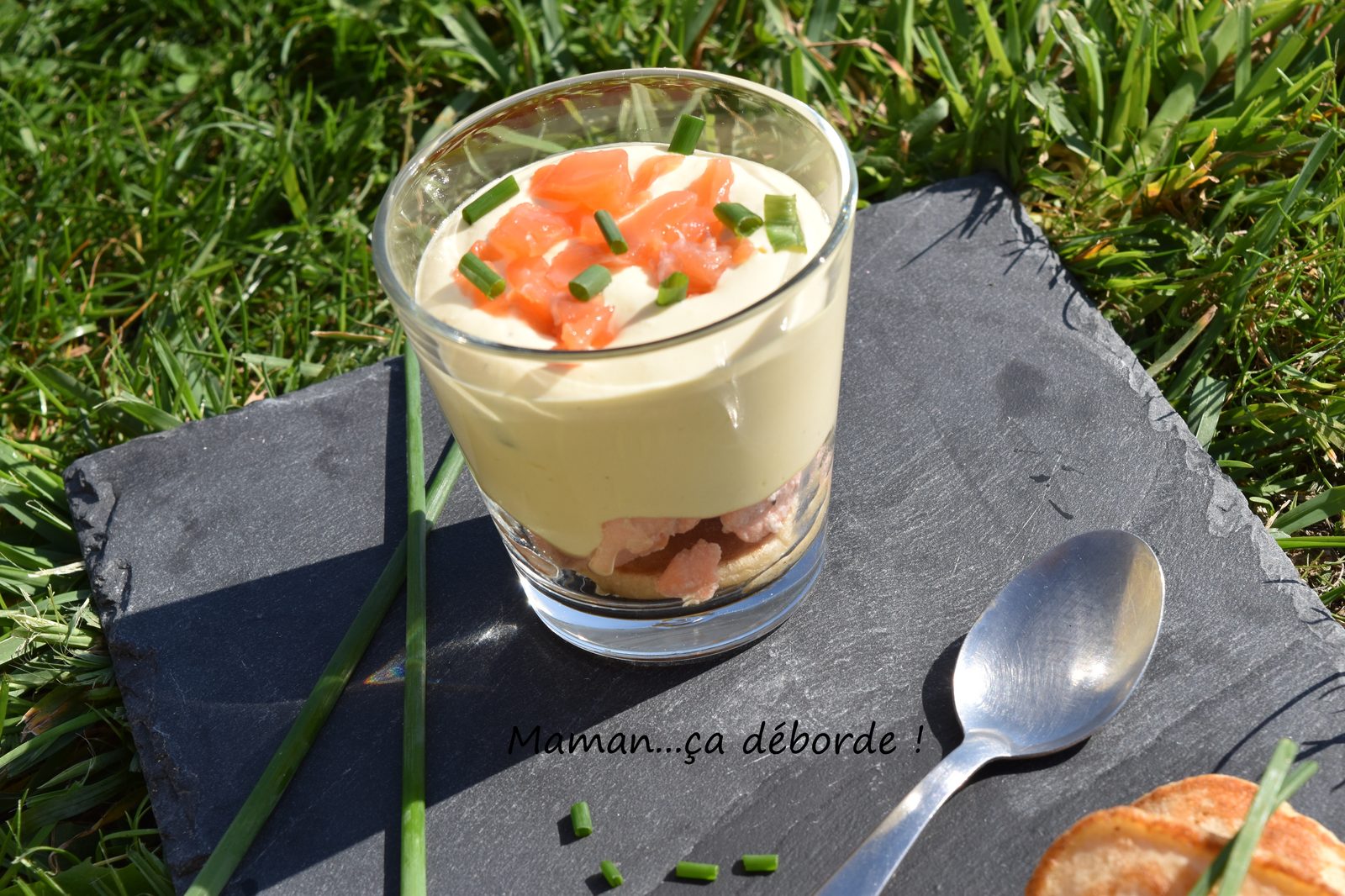 Tiramisu au saumon