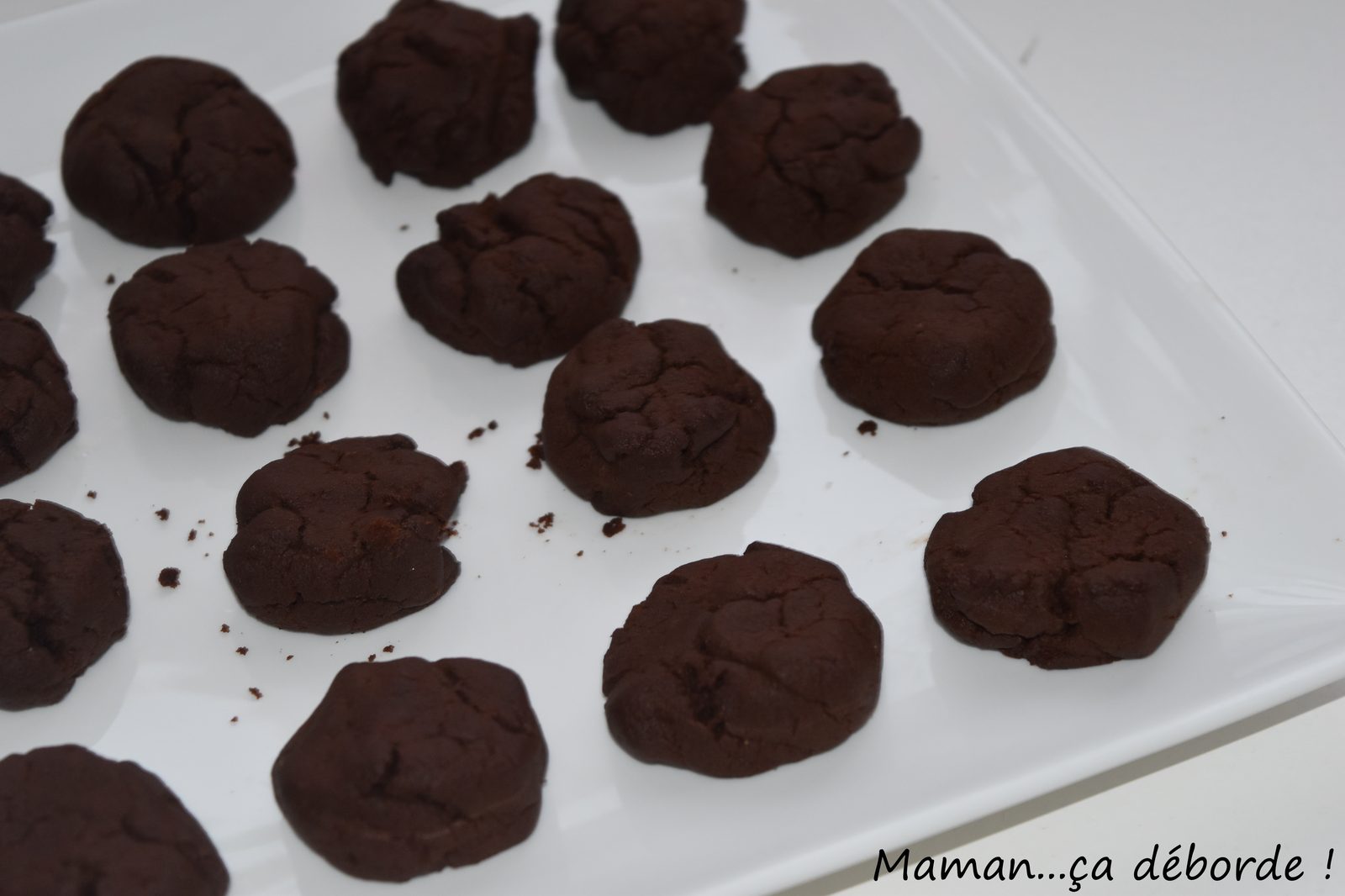 Biscuits moelleux au chocolat (sans oeuf)