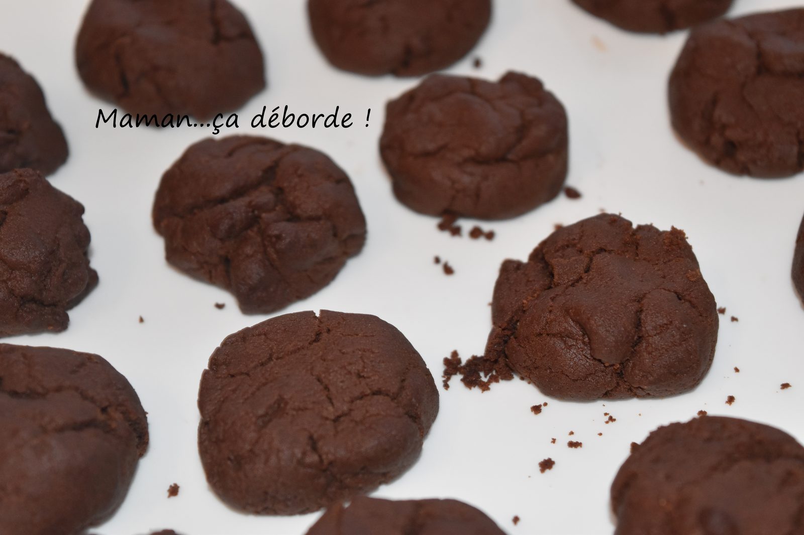 Biscuits moelleux au chocolat (sans oeuf)