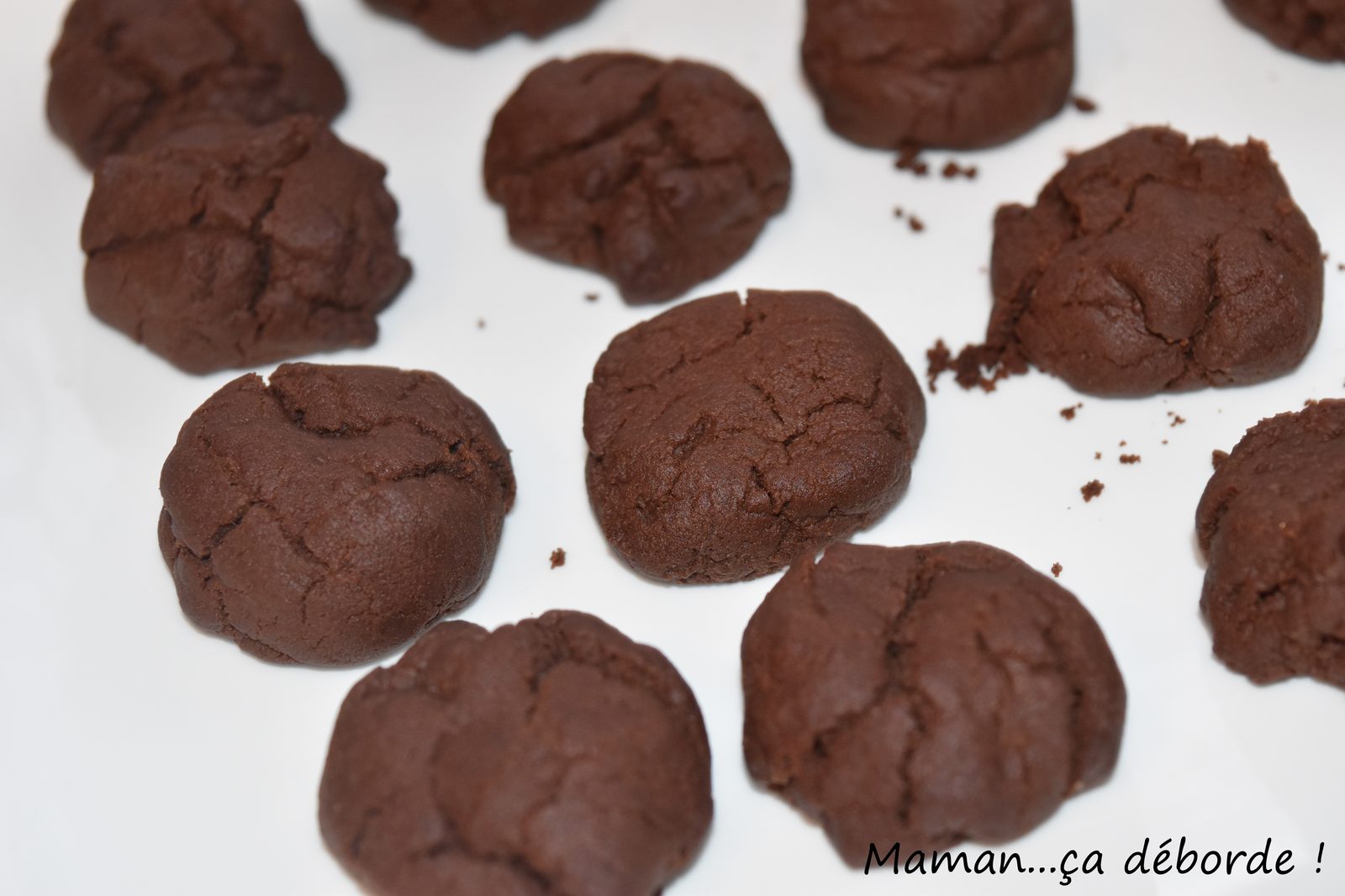 Biscuits moelleux au chocolat (sans oeuf)