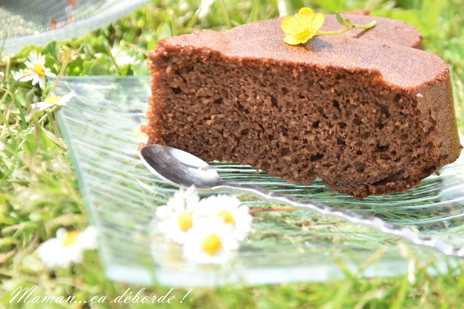 Gâteau au chocolat à l'eau gazeuse