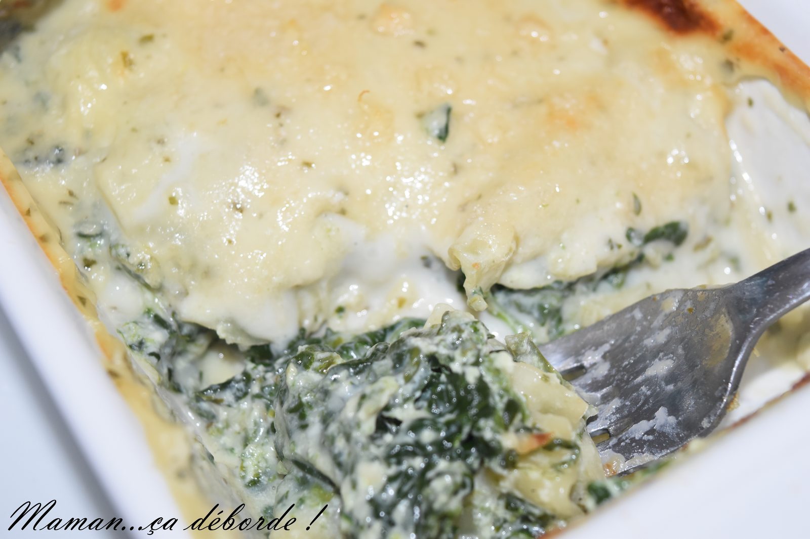 Lasagnes épinard, ricotta et chèvre