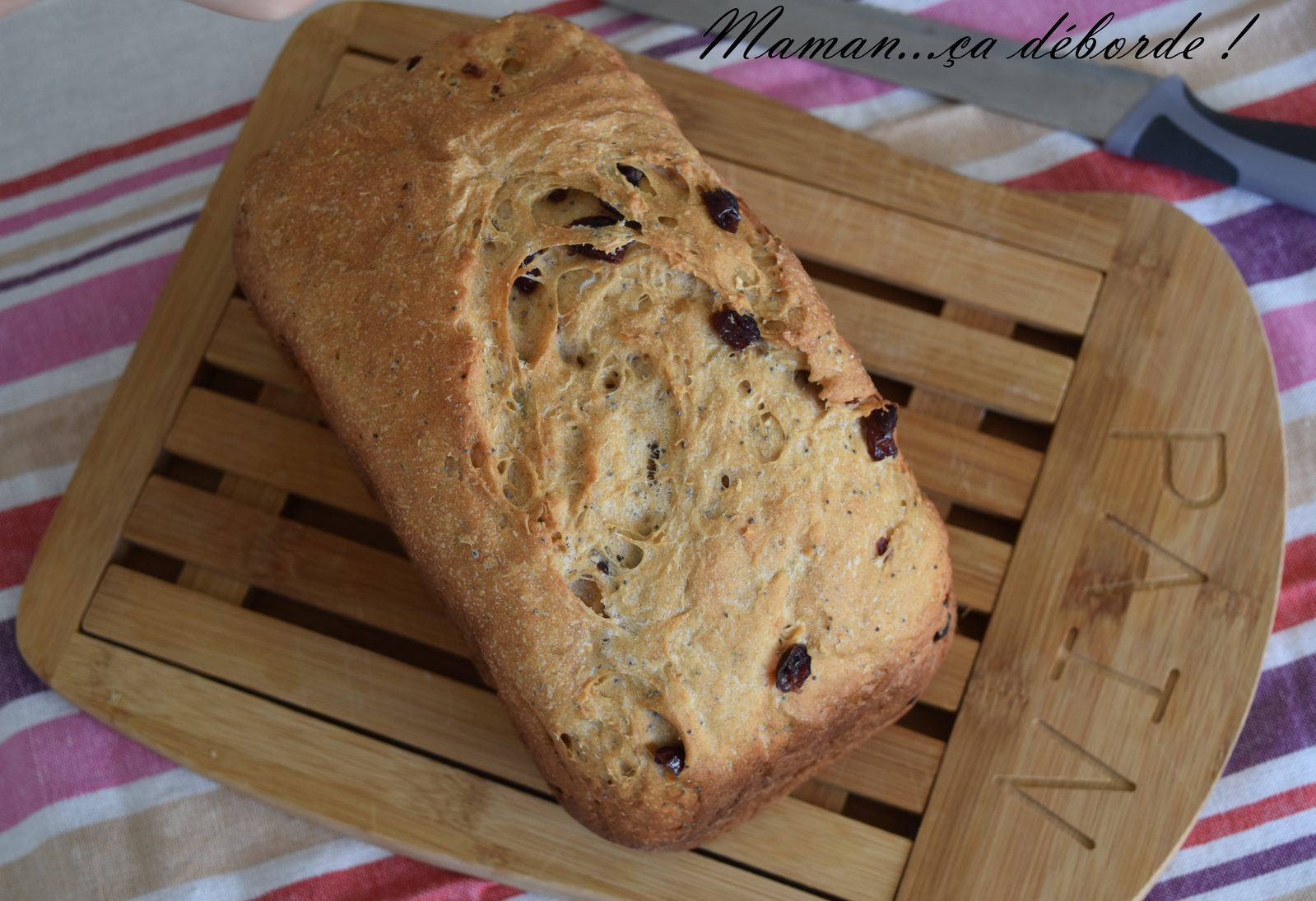 Pain aux pommes, noix de coco et cranberries