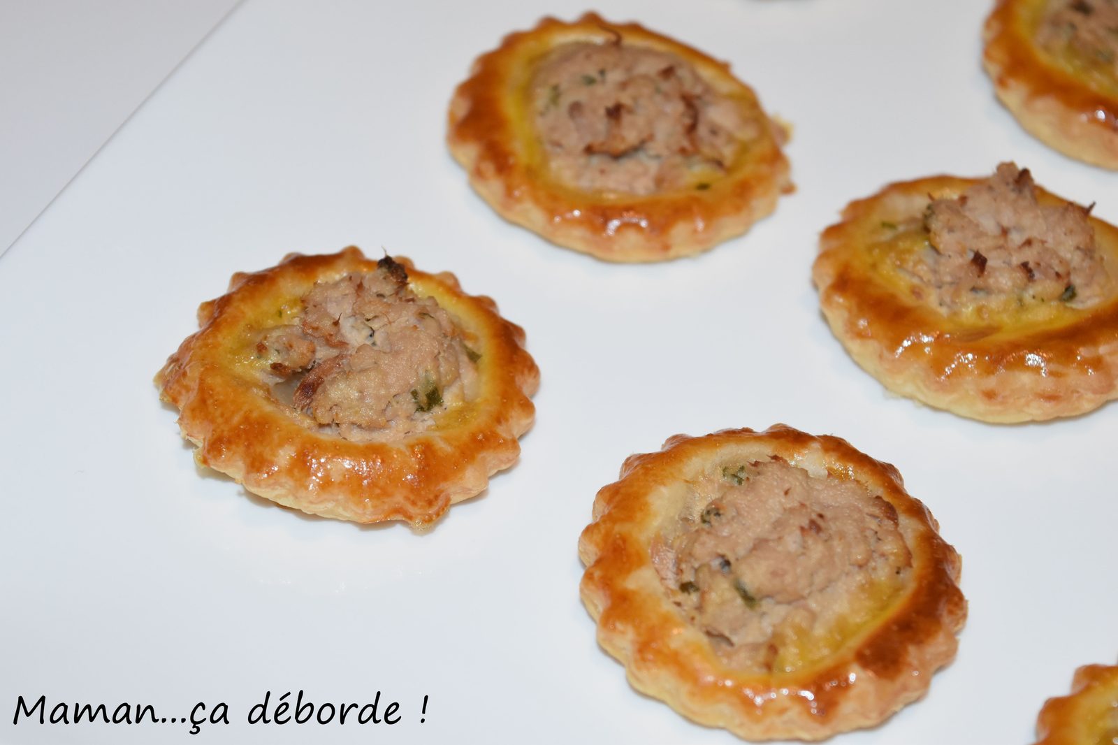 Mini feuilletés au thon et au boursin