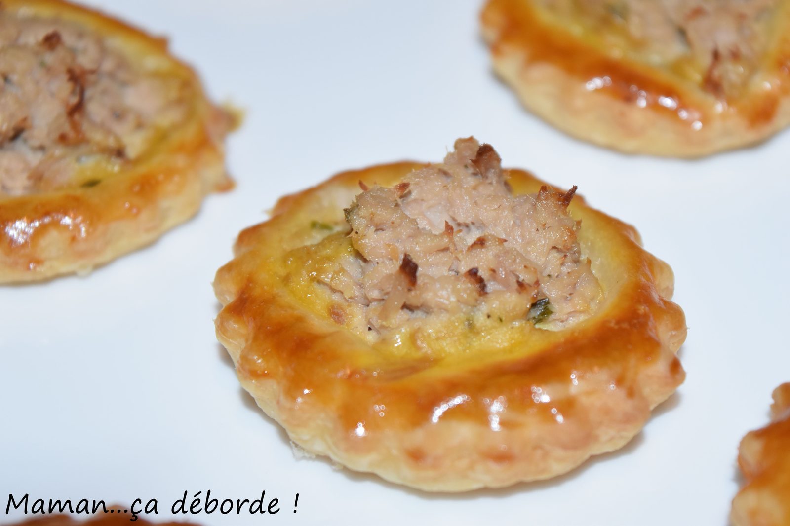 Mini feuilletés au thon et au boursin