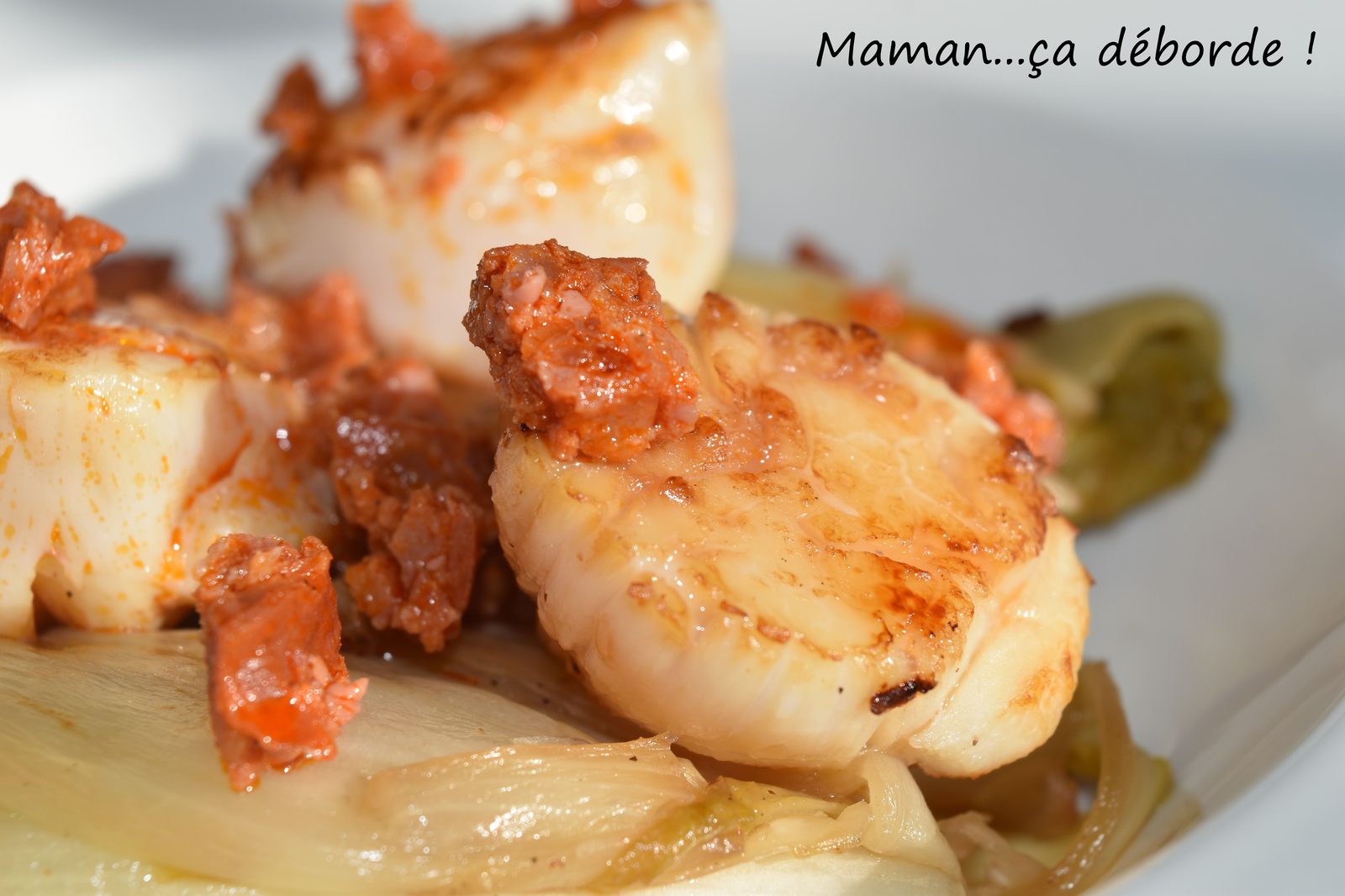 Noix de St Jacques au chorizo et endives braisées